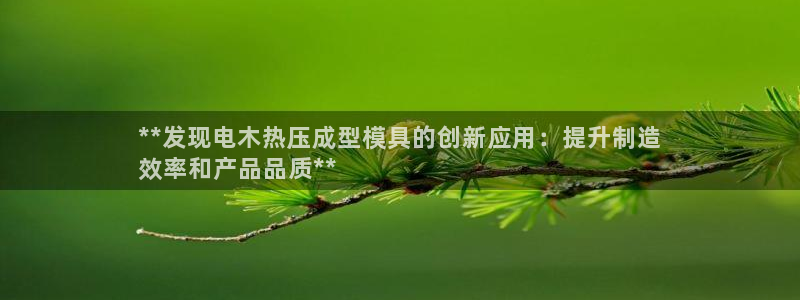 emc全站网页版：**发现电木热压成型模具的创新应用：提