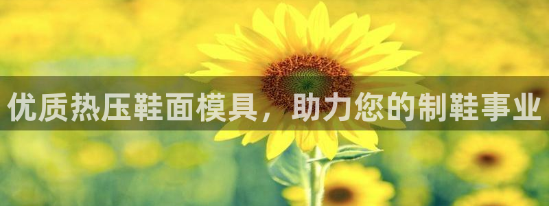 武汉易倍捷科技有限公司：优质热压鞋面模具，助力您的制鞋事
