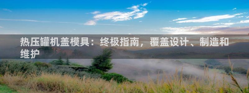 易倍纤酵素效果好吗：热压罐机盖模具：终极指南，覆盖设计、