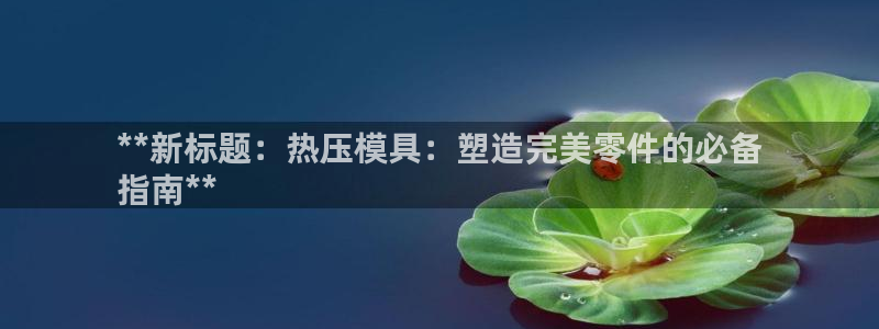 易倍网络技术有限公司怎么样：**新标题：热压模具：塑造完
