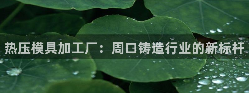 易倍科华生物科技有限公司：热压模具加工厂：周口铸造行业的