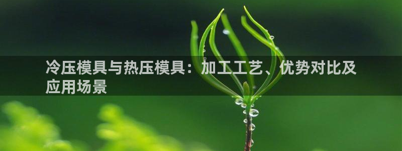 emc易倍官方下载：冷压模具与热压模具：加工工艺、优势对