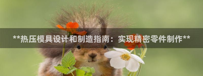 emc易倍官网首页：**热压模具设计和制造指南：实现精密