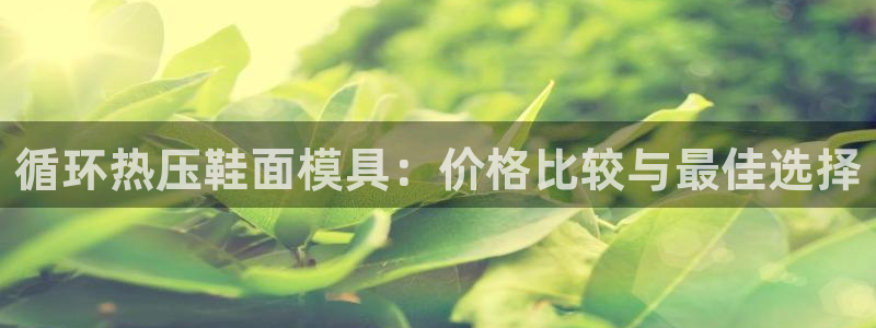 emc易倍官网app官网：循环热压鞋面模具：价格比较与最