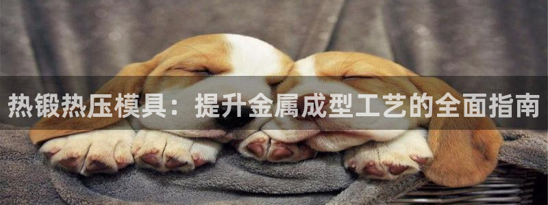 emc全站易倍：热锻热压模具：提升金属成型工艺的全面指南