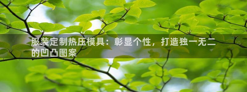 易倍申多少钱一盒：服装定制热压模具：彰显个性，打造独一无