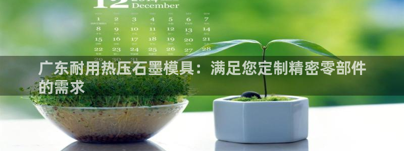 易倍申价格是多少：广东耐用热压石墨模具：满足您定制精密零