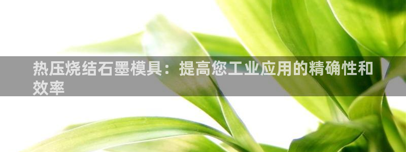易倍申的副作用：热压烧结石墨模具：提高您工业应用的精确性