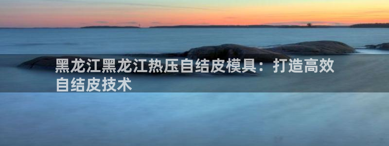 emc平台：黑龙江黑龙江热压自结皮模具：打造高效
自结皮