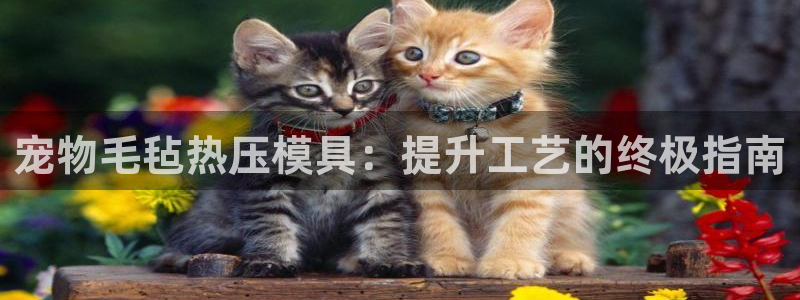 易倍申的价格：宠物毛毡热压模具：提升工艺的终极指南