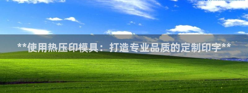 易倍纤多少钱：**使用热压印模具：打造专业品质的定制印字