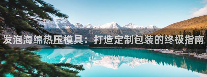 易倍达科技有限公司：发泡海绵热压模具：打造定制包装的终极