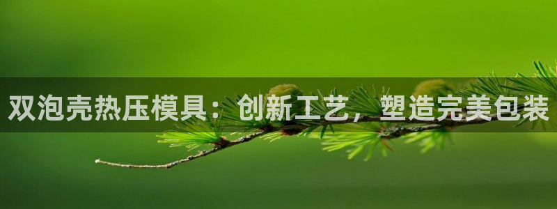 易倍达怎么样：双泡壳热压模具：创新工艺，塑造完美包装