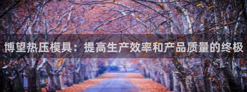 emc频率范围：博望热压模具：提高生产效率和产品质量的终