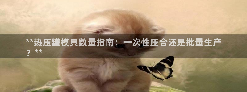易倍单词登录平台：**热压罐模具数量指南：一次性压合还是