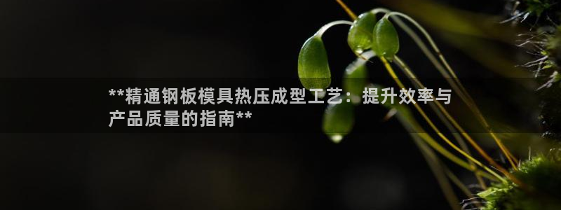 emc易贝体育怎么样：**精通钢板模具热压成型工艺：提升