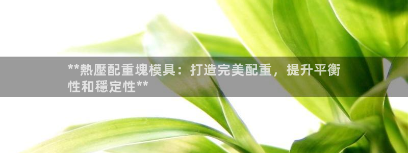 emc全站ag：**熱壓配重塊模具：打造完美配重，提升平