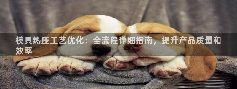 易倍申价格：模具热压工艺优化：全流程详细指南，提升产品质