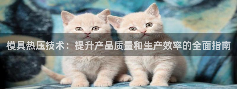 易倍纤代餐奶昔减肥效果怎么样：模具热压技术：提升产品质量