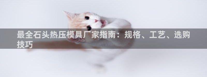 杭州易倍达科技有限公司怎么样：最全石头热压模具厂家指南：