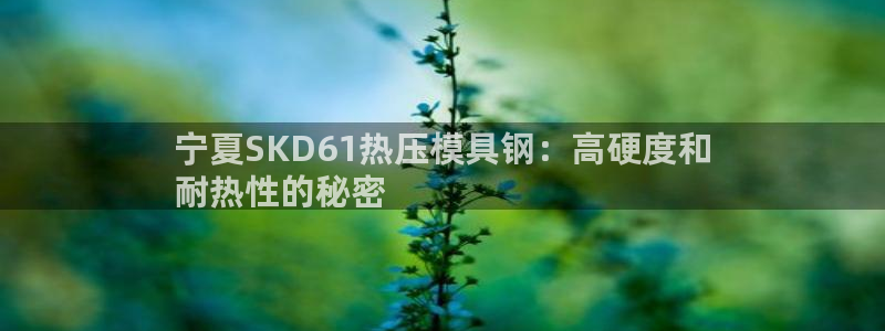 emc高频比低频好改：宁夏SKD61热压模具钢：高硬度和