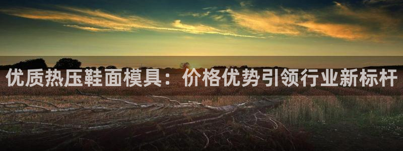 emc32软件使用说明：优质热压鞋面模具：价格优势引领行