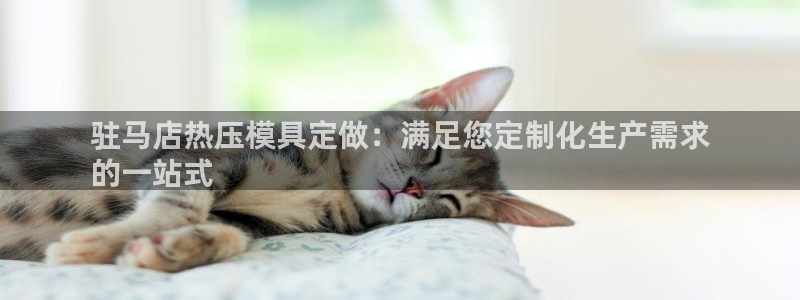 易倍企业管理软件怎么样：驻马店热压模具定做：满足您定制化