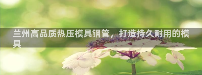 易倍申是进口药吗：兰州高品质热压模具钢管，打造持久耐用的