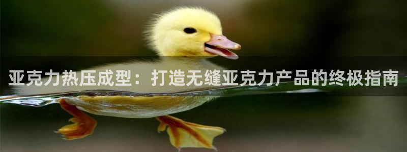 易倍单词平台：亚克力热压成型：打造无缝亚克力产品的终极指