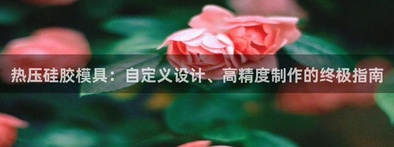 易倍网络技术有限公司官网：热压硅胶模具：自定义设计、高精