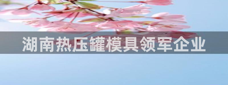 Emc易赔体育：湖南热压罐模具领军企业