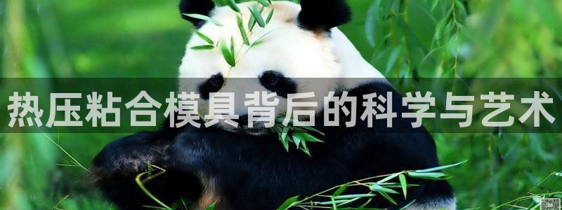 易倍申可以长期服用吗：热压粘合模具背后的科学与艺术