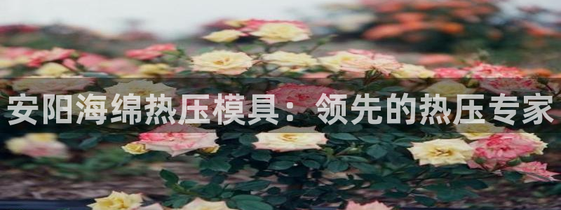 易倍app官网下载安装：安阳海绵热压模具：领先的热压专家