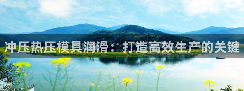 易倍网络技术有限公司是干嘛的：冲压热压模具润滑：打造高效