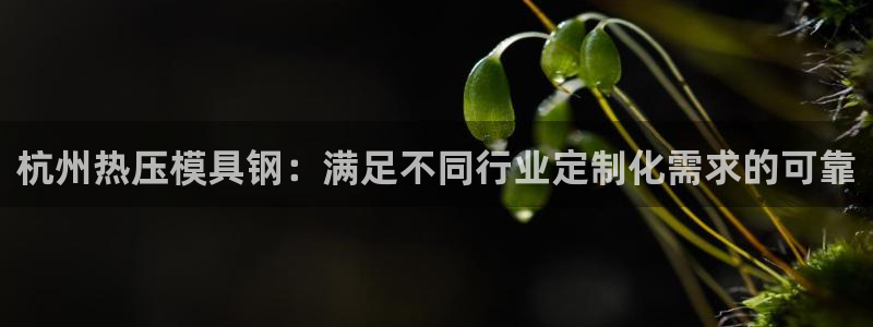 易倍申可以长期服用吗：杭州热压模具钢：满足不同行业定制化