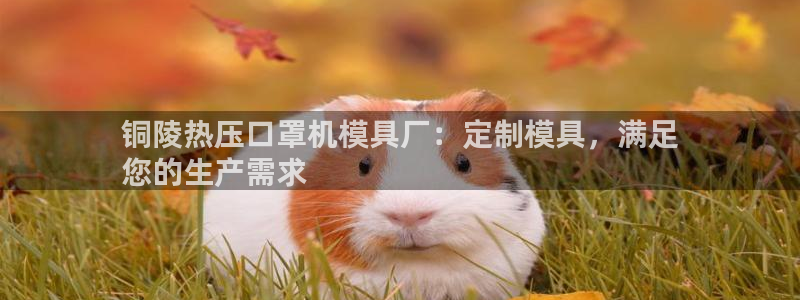 emc服务器是什么：铜陵热压口罩机模具厂：定制模具，满足