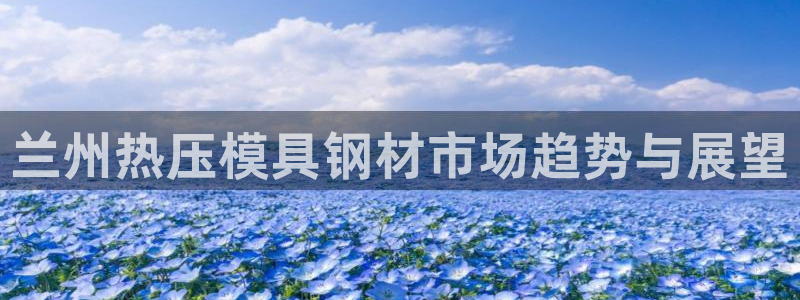 易倍网络技术有限公司招聘：兰州热压模具钢材市场趋势与展望