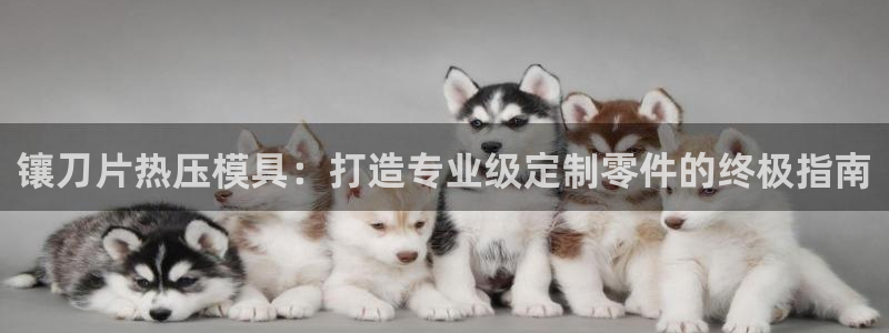 易倍申片：镶刀片热压模具：打造专业级定制零件的终极指南