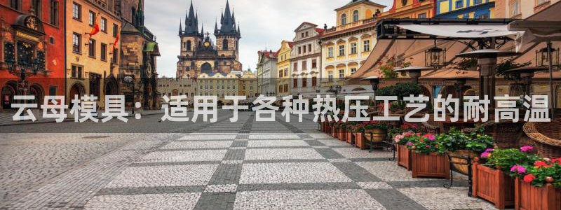 emc易倍下载：云母模具：适用于各种热压工艺的耐高温