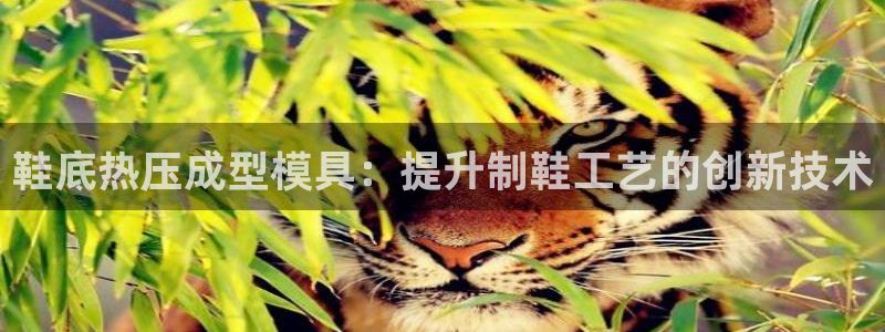 易倍app官网下载：鞋底热压成型模具：提升制鞋工艺的创新